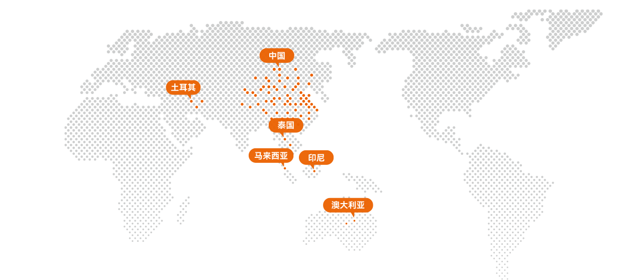 Rooted in China’s Success, Exploring Overseas Markets